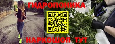 стафф Балаково