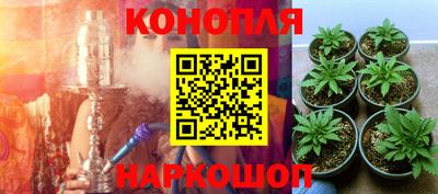 СК Балашиха