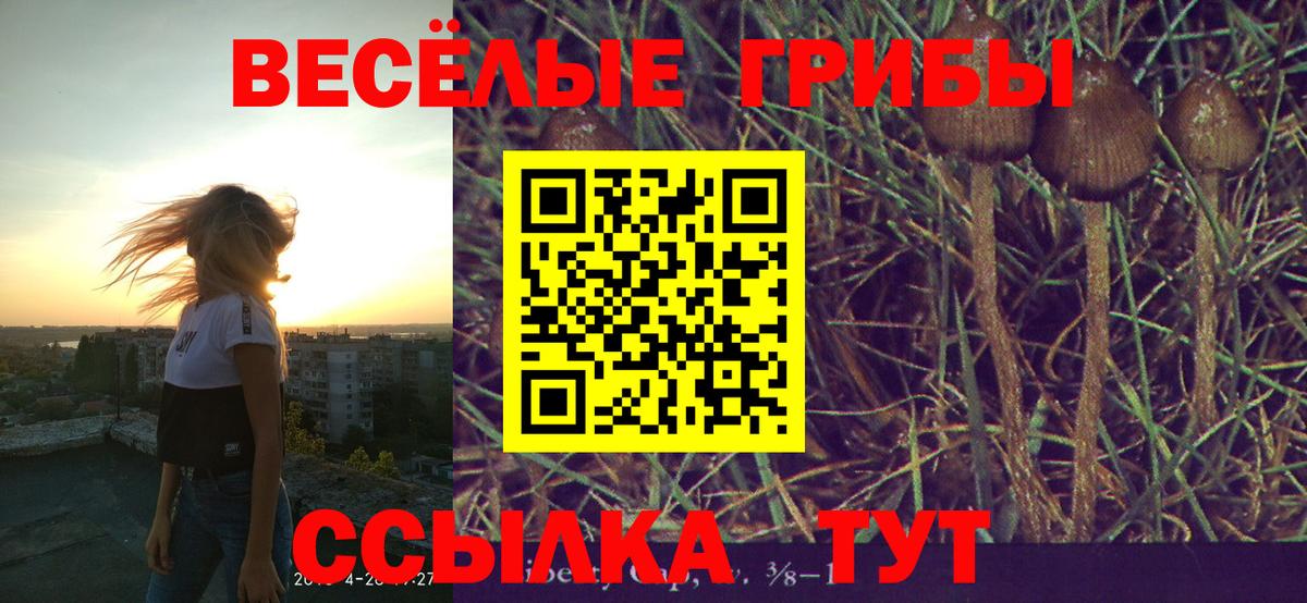 Псилоцибиновые грибы мухоморы Ессентуки