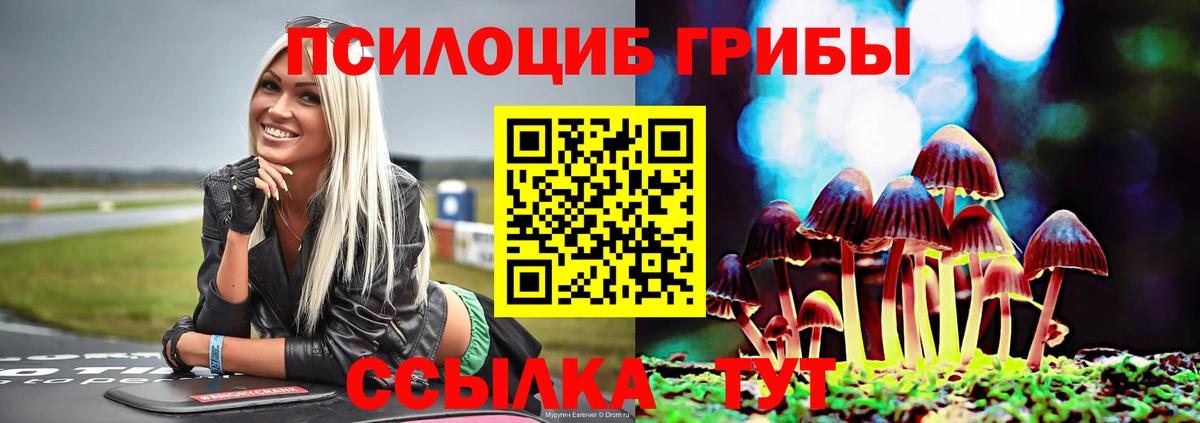 Ессентуки  Галлюциногенные грибы прущие грибы  Галлюциногенные грибы прущие грибы  Вход с VPN 
